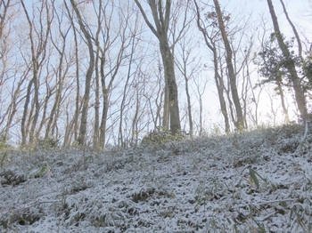薄ら雪化粧の西の山.JPG