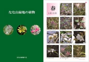 plant_hyo1-page_1.jpg